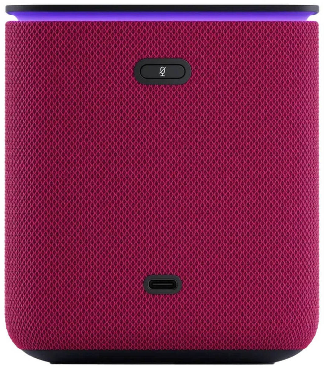 Умная колонка Яндекс.Станция Миди малиновый